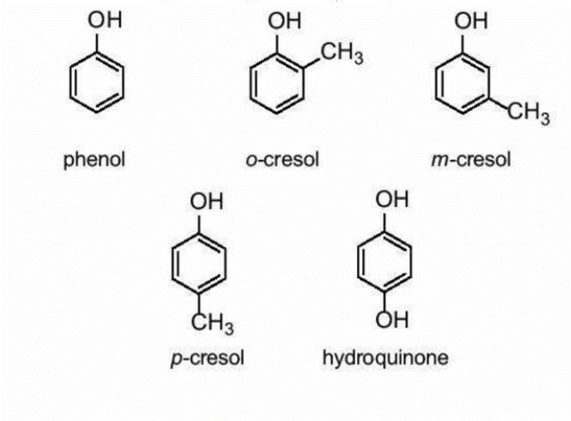 Phenol là gì  Tất tần tật các thông tin về Phenol hóa 11