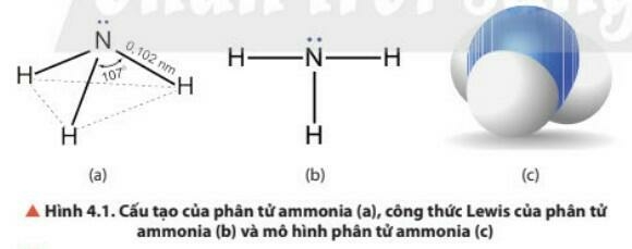 Lý thuyết Ammonia và một số hợp chất ammonium (Chân trời sáng tạo 2023) hay, chi tiết | Hóa học 11 (ảnh 1)