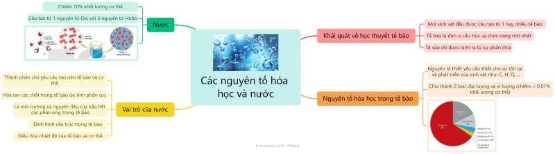 Lý thuyết Sinh học 10 Bài 5 (Chân trời sáng tạo): Các nguyên tố hoá học và nước (ảnh 8)