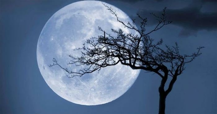 Top 11 bài Vẻ đẹp tâm hồn của Bác qua bài thơ Ngắm trăng hay nhất (ảnh 2)
