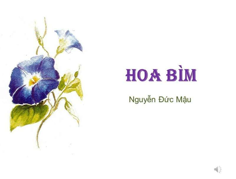 TOP 4 mẫu Tóm tắt Hoa bìm 2024 hay, ngắn gọn (ảnh 1)