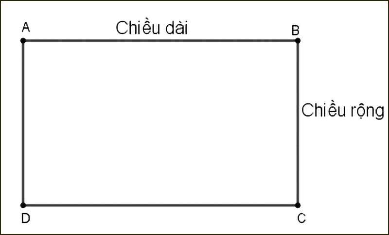 Cách tính chu vi hình chữ nhật và các dạng bài tập thường gặp (ảnh 1)