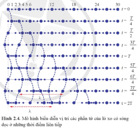 Lý thuyết Sóng dọc và sóng ngang (Cánh diều 2023) hay, chi tiết | Vật Lí 11 (ảnh 2)