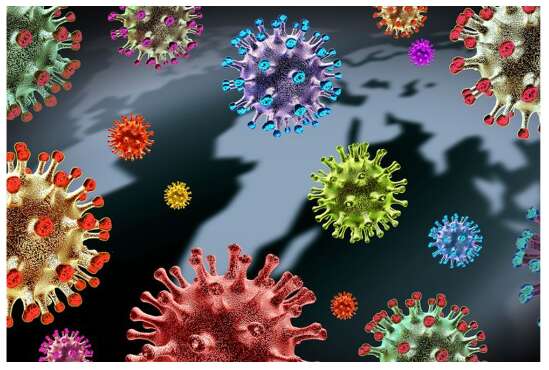 Lý thuyết Sinh học 10 Bài 21 (Cánh diều): Khái niệm, cấu tạo và chu trình nhân lên củ virus (ảnh 1)