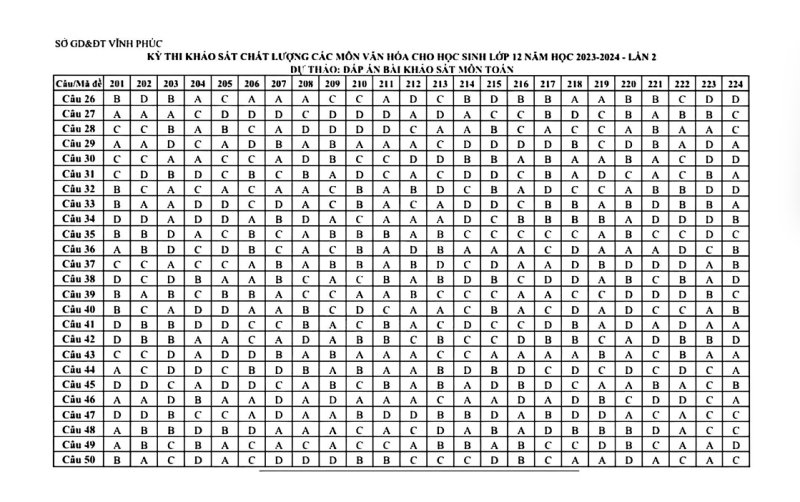 Đề thi thử Toán sở Vĩnh Phúc 2024 có đáp án (ảnh 8)