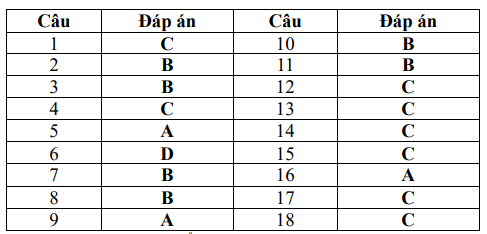 Bộ 10 đề thi giữa kì 1 Vật Lí 12 Chân trời sáng tạo có đáp án năm 2024 (ảnh 3)