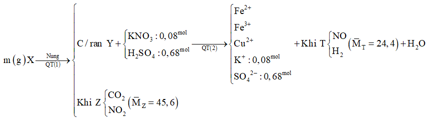 undefined (ảnh 1)