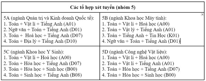 Viện nghiên cứu và đào tạo Việt - Anh (Đại học Đà Nẵng) (DDV): Thông tin tuyển sinh, điểm chuẩn, học phí, chương trình đào tạo (2024) (ảnh 6)