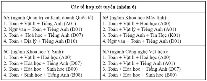 Viện nghiên cứu và đào tạo Việt - Anh (Đại học Đà Nẵng) (DDV): Thông tin tuyển sinh, điểm chuẩn, học phí, chương trình đào tạo (2024) (ảnh 7)