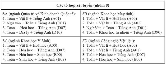 Viện nghiên cứu và đào tạo Việt - Anh (Đại học Đà Nẵng) (DDV): Thông tin tuyển sinh, điểm chuẩn, học phí, chương trình đào tạo (2024) (ảnh 9)