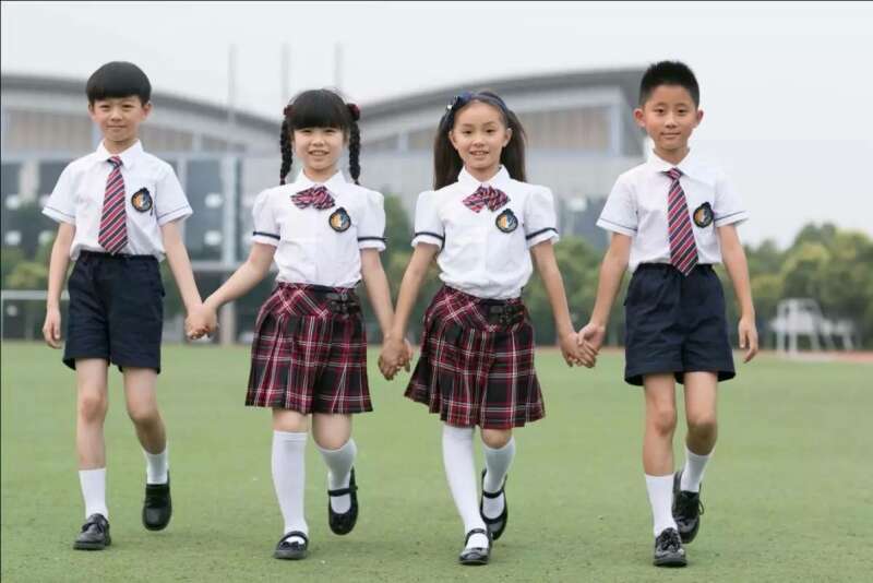 Write a paragraph (100-120 words) about your school uniform (ảnh 2)