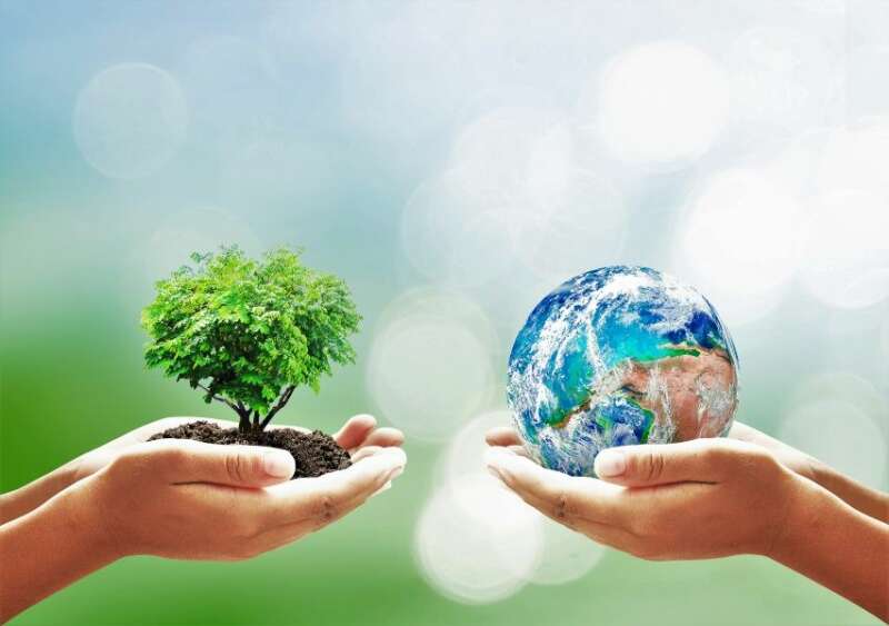 TOP 20 Write a paragraph about we should do to improve the environment (ảnh 2)