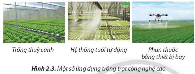 Công nghệ 7 Bài 2: Các phương thức trồng trọt ở Việt Nam | Chân trời sáng tạo (ảnh 4)