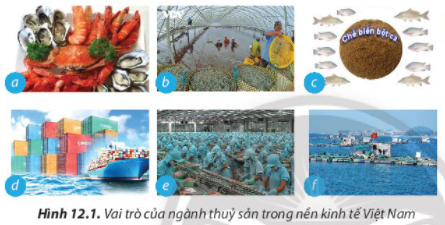 Công nghệ 7 Bài 12: Ngành thuỷ sản ở Việt Nam | Chân trời sáng tạo (ảnh 1)