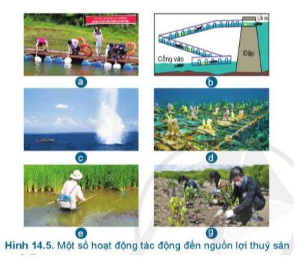 Công nghệ 7 Bài 14: Bảo vệ môi trường và nguồn lợi thủy sản | Cánh diều (ảnh 7)
