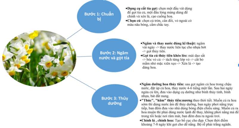 Soạn bài Cách gọt củ hoa thuỷ tiên | Chân trời sáng tạo Ngữ văn lớp 7 (ảnh 1)