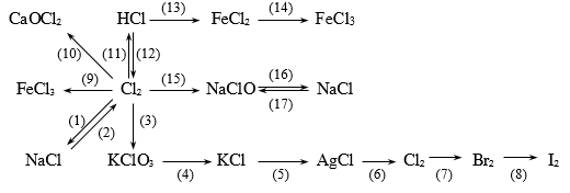 Bài tập về ôn tập học kì 2 hóa học 10 có chọn lọc (ảnh 16)