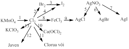 Bài tập về ôn tập học kì 2 hóa học 10 có chọn lọc (ảnh 12)