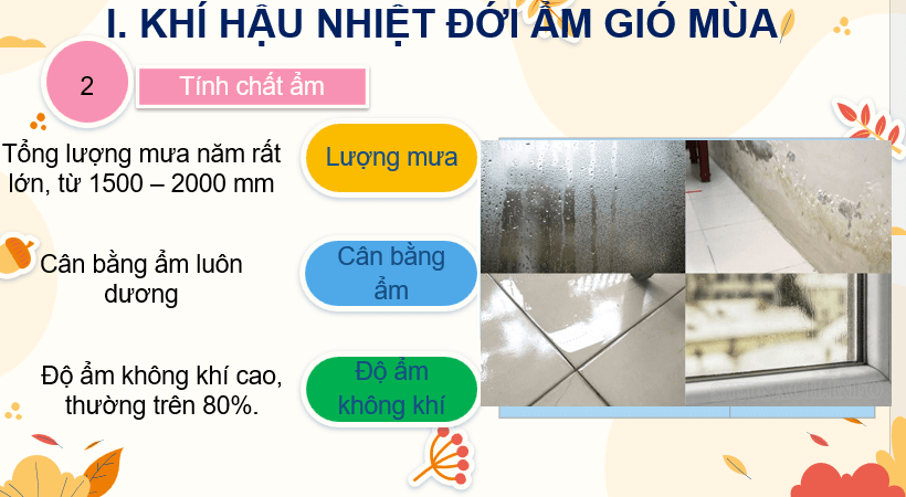 Giáo án Powerpoint Địa Lí 8 Bài 5 (Cánh diều): Khí hậu Việt Nam (ảnh 1)
