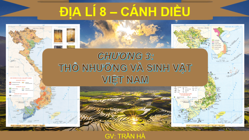 Giáo án Powerpoint Địa Lí 8 Bài 9 (Cánh diều): Thổ nhưỡng Việt Nam (ảnh 1)