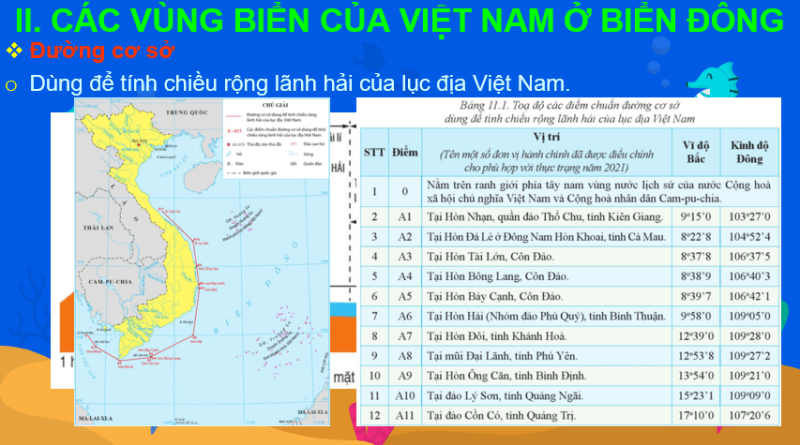 Giáo án Powerpoint Địa Lí 8 Bài 11 (Cánh diều): Phạm vi Biển Đông: Các vùng biển của Việt Nam ở Biển Đông: Đặc điểm tự nhiên vùng biển đảo Việt Nam (ảnh 1)