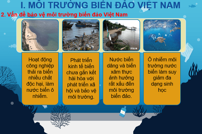 Giáo án Powerpoint Địa Lí 8 Bài 12 (Cánh diều): Môi trường và tài nguyên biển đảo Việt Nam (ảnh 1)