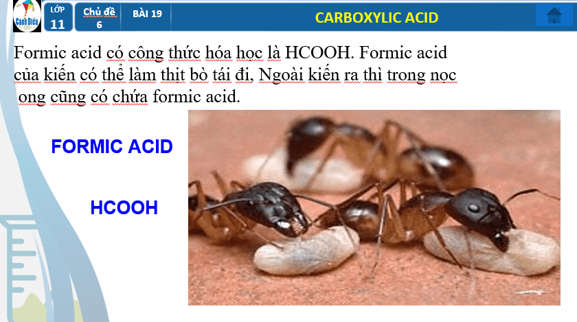 Giáo án PowerPoint Carboxylic acid (Cánh diều) | Hóa 11 (ảnh 10)