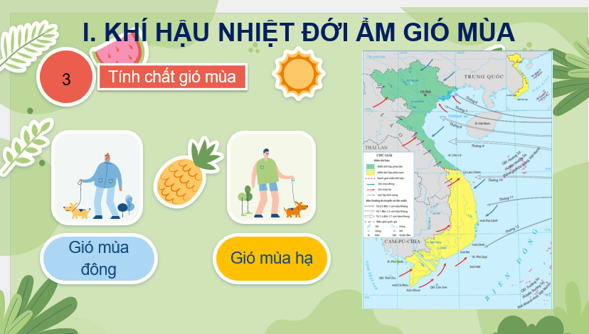 Giáo án Powerpoint Địa Lí 8 Bài 5 (Cánh diều): Khí hậu Việt Nam (ảnh 2)