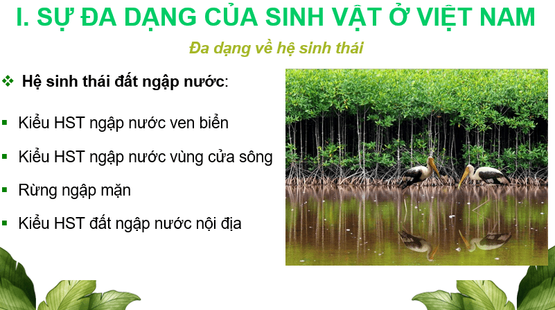 Giáo án Powerpoint Địa Lí 8 Bài 10 (Cánh diều): Đặc điểm chung của sinh vật và vấn để bảo tồn đa dạng sinh học ở Việt Nam (ảnh 2)
