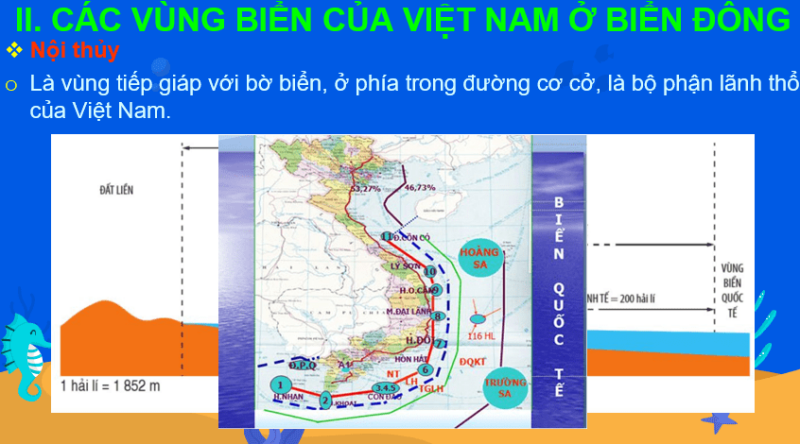 Giáo án Powerpoint Địa Lí 8 Bài 11 (Cánh diều): Phạm vi Biển Đông: Các vùng biển của Việt Nam ở Biển Đông: Đặc điểm tự nhiên vùng biển đảo Việt Nam (ảnh 2)