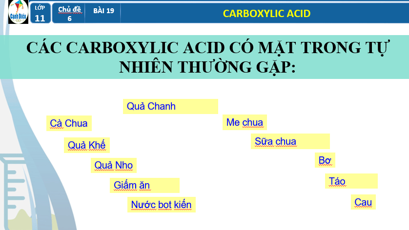 Giáo án PowerPoint Carboxylic acid (Cánh diều) | Hóa 11 (ảnh 2)