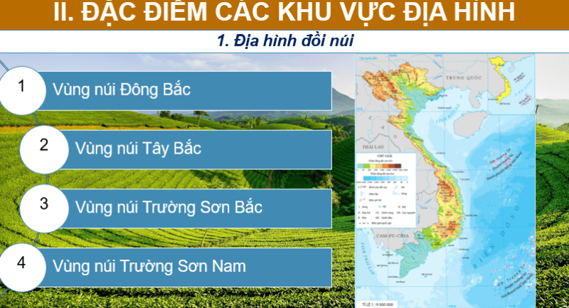 Giáo án PowerPoint Địa Lí 8 Bài 2 (Cánh diều): Địa hình Việt Nam (ảnh 3)