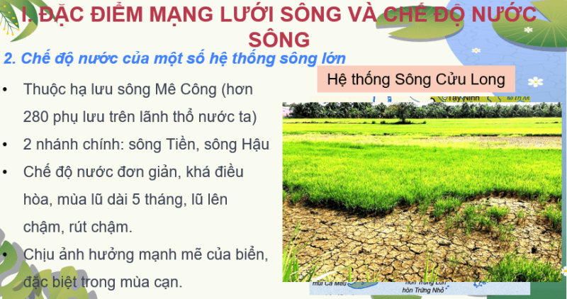 Giáo án Powerpoint Địa Lí 8 Bài 7 (Cánh diều): Thuỷ văn Việt Nam (ảnh 3)