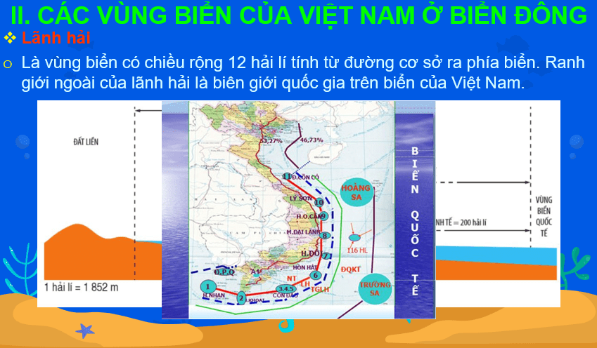 Giáo án Powerpoint Địa Lí 8 Bài 11 (Cánh diều): Phạm vi Biển Đông: Các vùng biển của Việt Nam ở Biển Đông: Đặc điểm tự nhiên vùng biển đảo Việt Nam (ảnh 3)