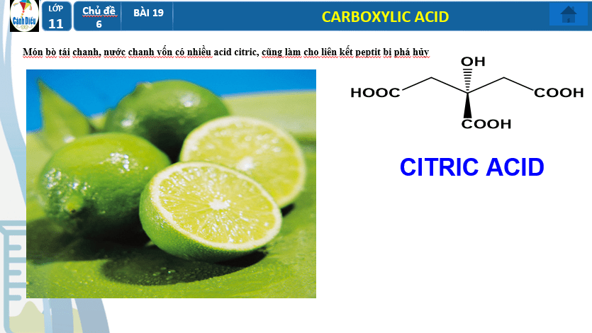 Giáo án PowerPoint Carboxylic acid (Cánh diều) | Hóa 11 (ảnh 3)