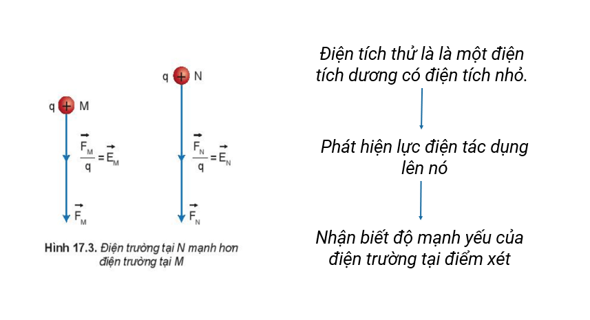 Giáo án PowerPoint Khái niệm điện trường (Kết nối tri thức) | Vật lí 11 (ảnh 3)