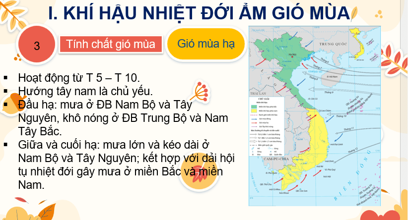 Giáo án Powerpoint Địa Lí 8 Bài 5 (Cánh diều): Khí hậu Việt Nam (ảnh 4)