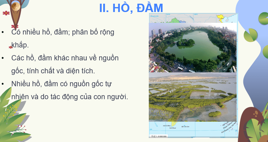 Giáo án Powerpoint Địa Lí 8 Bài 7 (Cánh diều): Thuỷ văn Việt Nam (ảnh 4)