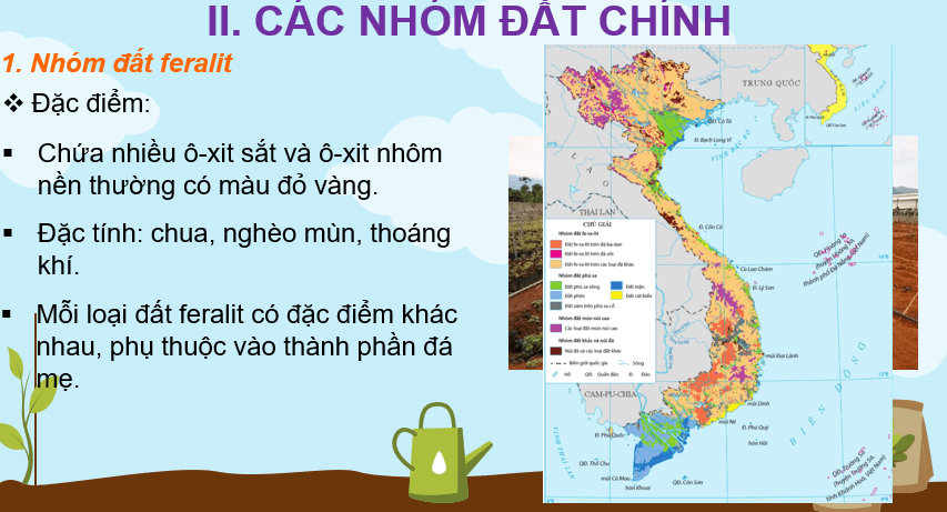 Giáo án Powerpoint Địa Lí 8 Bài 9 (Cánh diều): Thổ nhưỡng Việt Nam (ảnh 10)