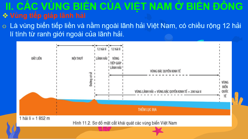 Giáo án Powerpoint Địa Lí 8 Bài 11 (Cánh diều): Phạm vi Biển Đông: Các vùng biển của Việt Nam ở Biển Đông: Đặc điểm tự nhiên vùng biển đảo Việt Nam (ảnh 4)