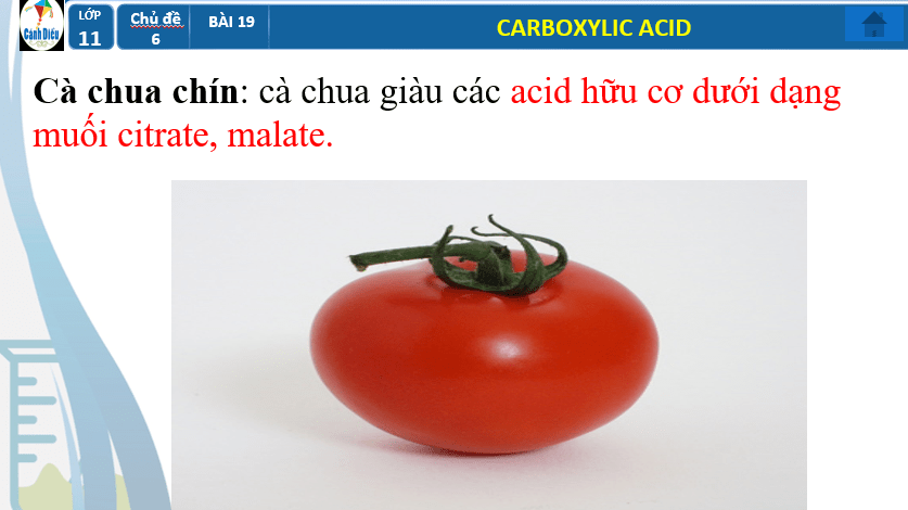 Giáo án PowerPoint Carboxylic acid (Cánh diều) | Hóa 11 (ảnh 4)