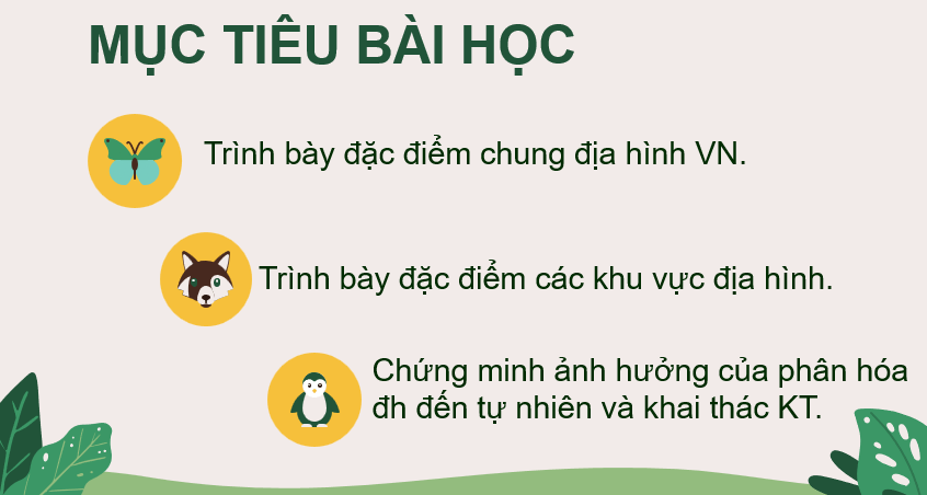 Giáo án Powerpoint Địa Lí 8 Bài 2 (Kết nối tri thức): Địa hình Việt Nam (ảnh 5)