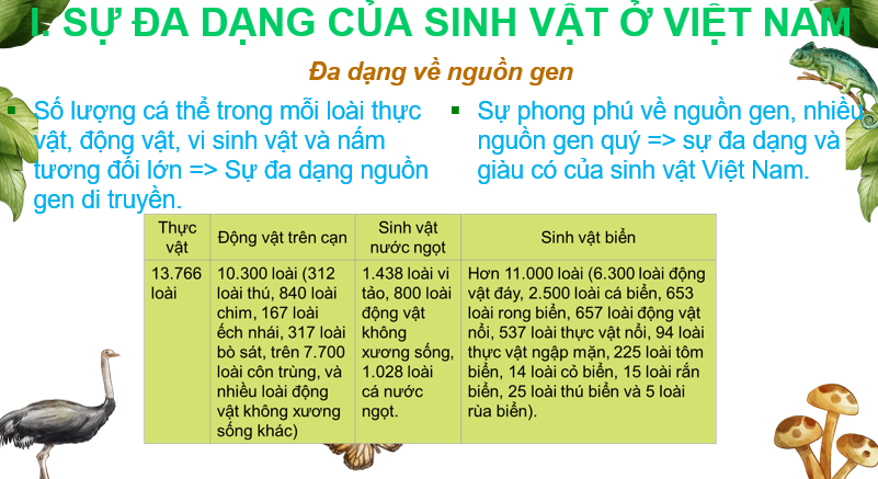 Giáo án Powerpoint Địa Lí 8 Bài 10 (Cánh diều): Đặc điểm chung của sinh vật và vấn để bảo tồn đa dạng sinh học ở Việt Nam (ảnh 5)