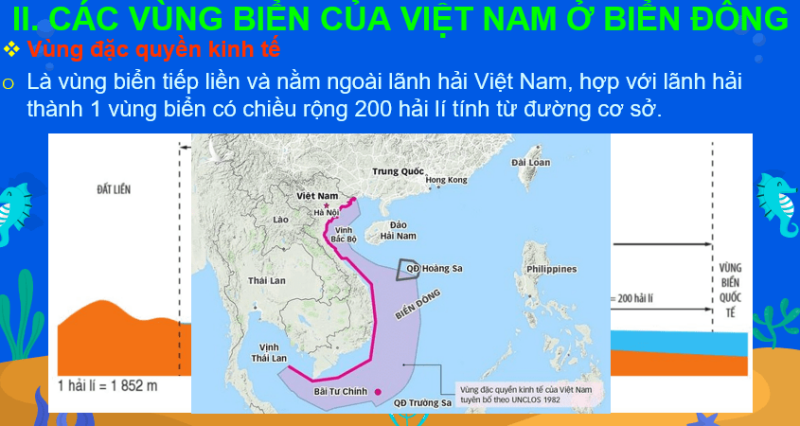 Giáo án Powerpoint Địa Lí 8 Bài 11 (Cánh diều): Phạm vi Biển Đông: Các vùng biển của Việt Nam ở Biển Đông: Đặc điểm tự nhiên vùng biển đảo Việt Nam (ảnh 5)