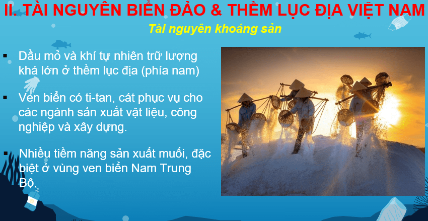 Giáo án Powerpoint Địa Lí 8 Bài 12 (Cánh diều): Môi trường và tài nguyên biển đảo Việt Nam (ảnh 6)