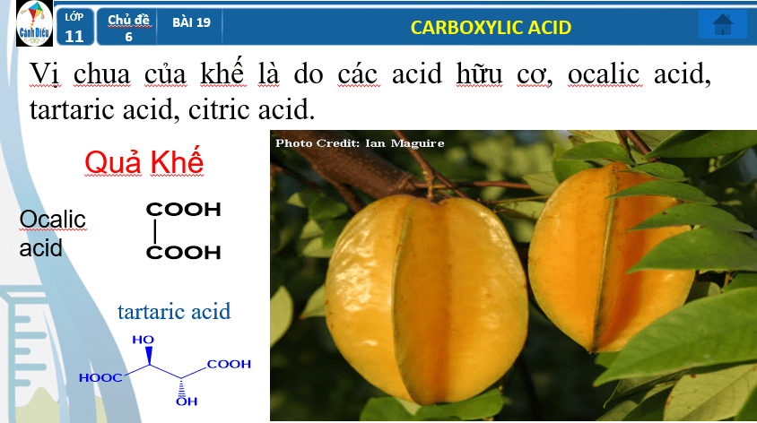 Giáo án PowerPoint Carboxylic acid (Cánh diều) | Hóa 11 (ảnh 5)