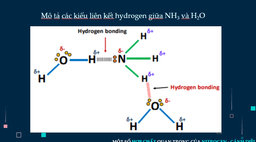 Giáo án PowerPoint Một số hợp chất quan trọng của nitrogen (Cánh diều) | Hóa 11 (ảnh 7)