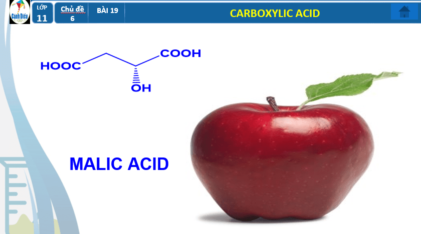Giáo án PowerPoint Carboxylic acid (Cánh diều) | Hóa 11 (ảnh 8)