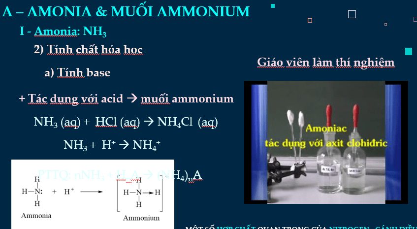 Giáo án PowerPoint Một số hợp chất quan trọng của nitrogen (Cánh diều) | Hóa 11 (ảnh 9)