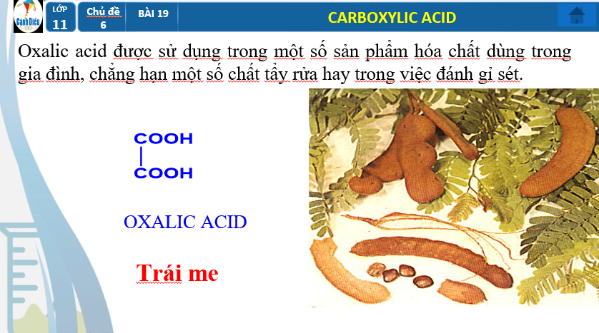 Giáo án PowerPoint Carboxylic acid (Cánh diều) | Hóa 11 (ảnh 9)